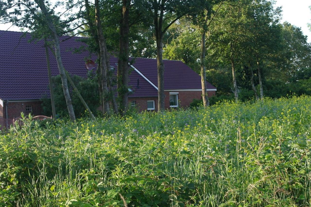 Bed and Breakfast De Moane à Akelsbarg Extérieur photo